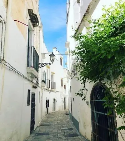 Mono Levante A Appartement